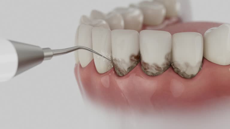 Reliable Dental contractor in Bent Creek, NC by Dentist Open Now